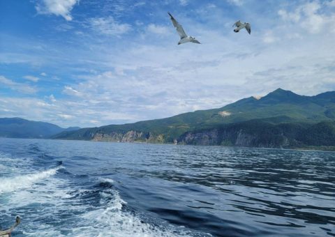 鮭釣り名人