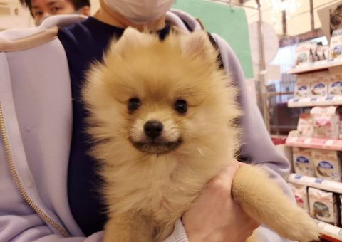 おめでとう♪すももちゃん♥️