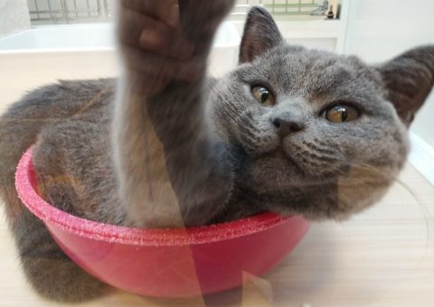 明日が最終日！！