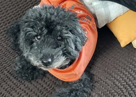 今日もおめでとうは続きます♡