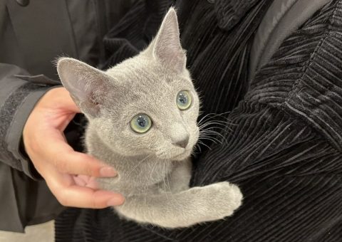 おめでとう！ルナくん☆