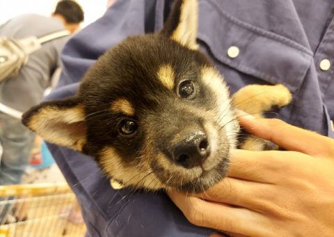 背中が痛い・・・＆おめでとうラッシュ♥♥