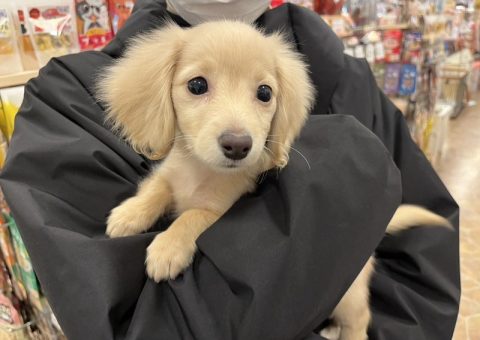 おめおめおめでとー♡♡