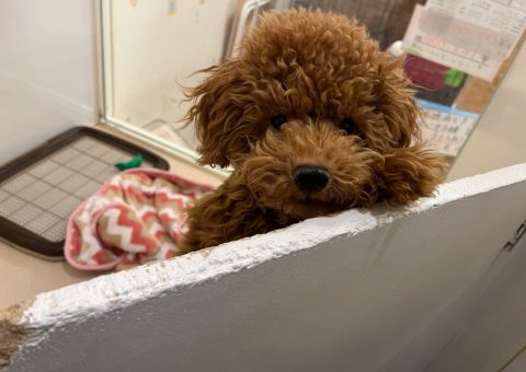 年長組さんたちを改めて･･･(*´˘`*)♡