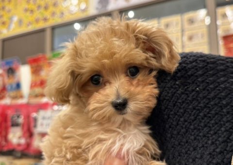 卒業おめでとう♡