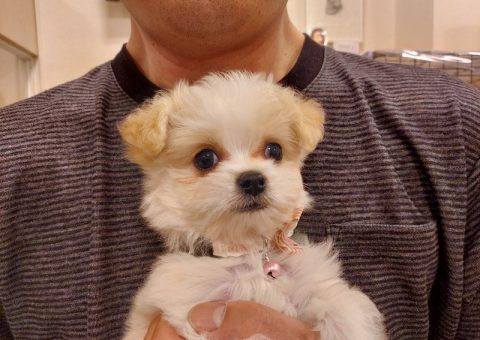 ☆ルルちゃんおめでとう☆