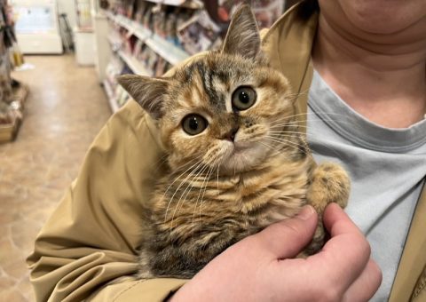 ♦♢スコちゃんおめでとーーー♢♦