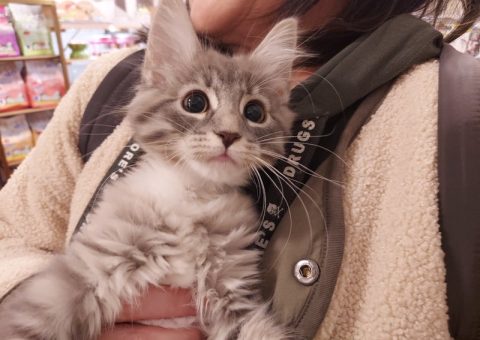 ♦♦♦幸せいっぱい！おめでとーーーー♦♦♦