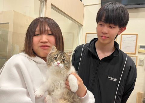 おめでとう！アラレちゃん(*´˘`*)♡