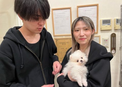 おめでとう！ベルちゃん(*´˘`*)♡
