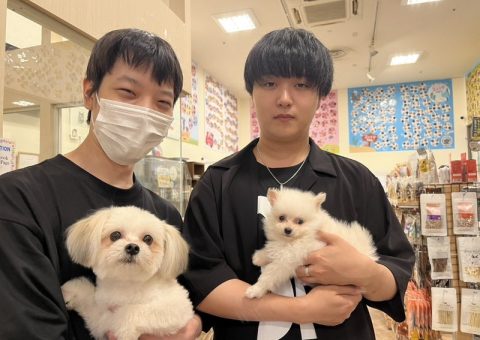 おめおめおめでとーーー♡♡