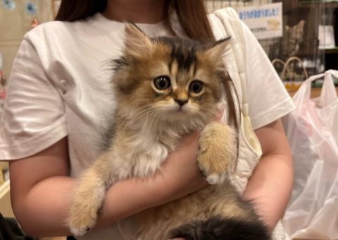 うーやんおめでとー♡.*･ﾟ