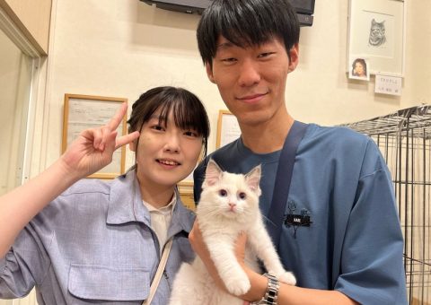 ふぃるむちゃんおめでとう(*´˘`*)♡