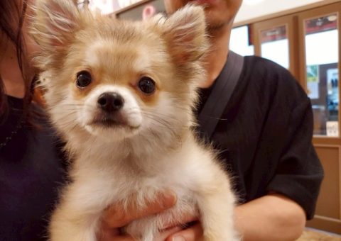 らむねちゃんおめでとう(*´˘`*)♡