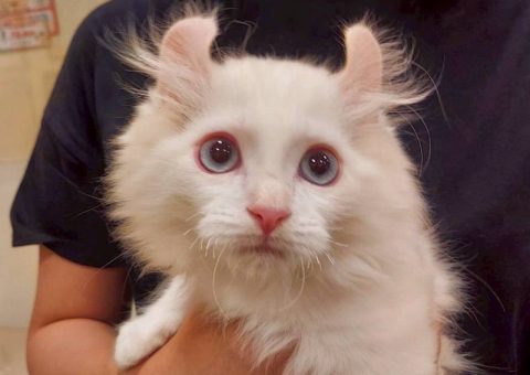 カールくん卒業おめでとう〜！o(^▽^)o