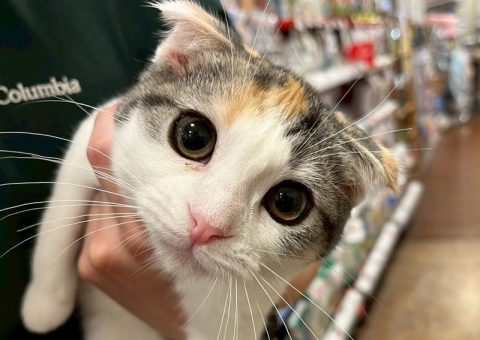 とろちゃん、オメデトーー(*´꒳`*)