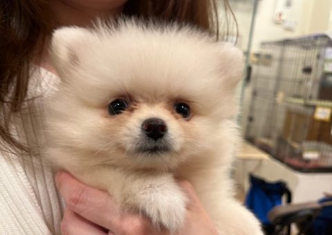 そらくんおめでとう(*´˘`*)♡