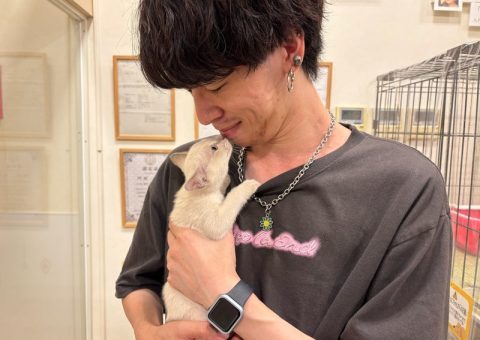 幸せいっぱい♡.*･ﾟ