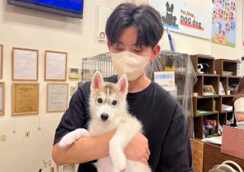 おめでとわんにゃん♡.*･ﾟ