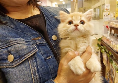 メルちゃん♡おめでとーーー♡♡