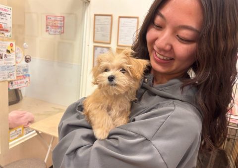 ぽこちゃんおめでとう♡.*･ﾟ