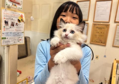 おめでとにゃんにゃん♡.*･ﾟ