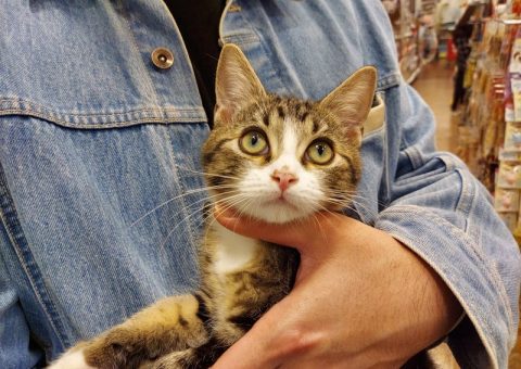 ☆☆おめでとーーー☆☆