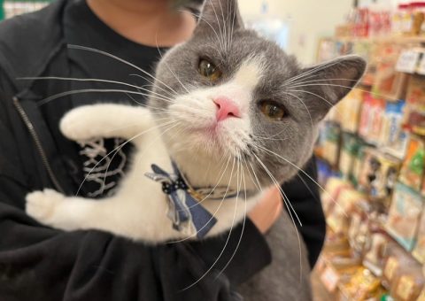 ムースくんおめでとう♡.*･ﾟ