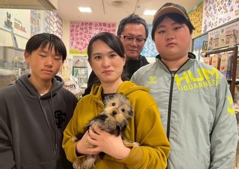 ✧˖°congratulation°˖✧