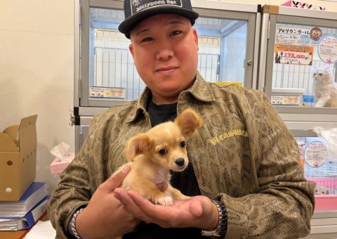 チワックスくんおめでとう♡.*･ﾟ