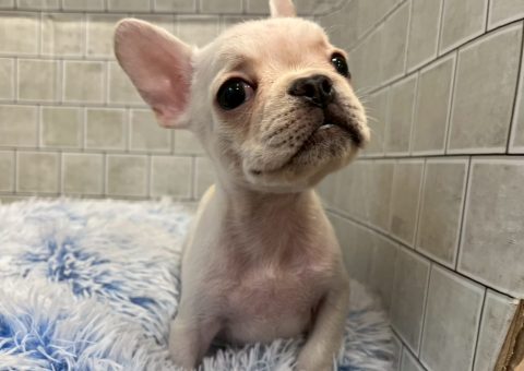 久々にあの子が仲間入りです！☆