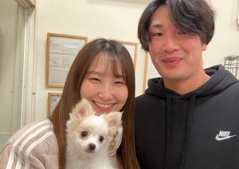 ポムちゃん、おめでとう〜！！(๑ᴖ◡ᴖ๑)