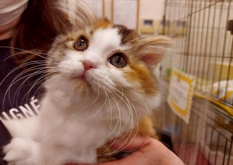 ソナちゃんおめでとーっ！