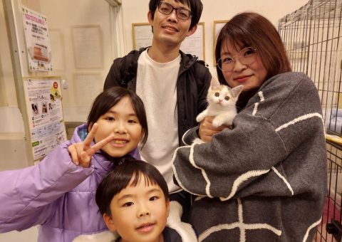 °˖✧congratulation✧˖°