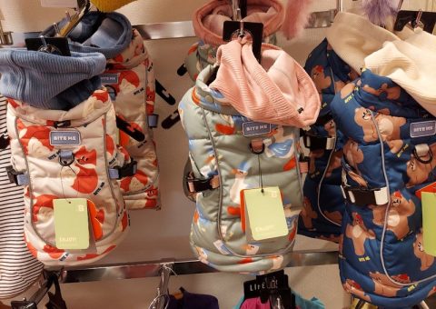 可愛いダウンコート入荷しました♪♪