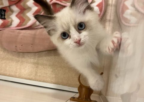 少し成長したあの子たちを･･･(*´˘`*)♡