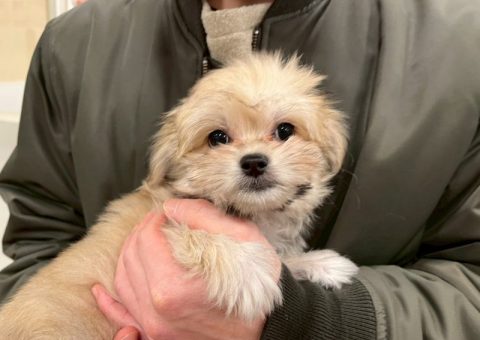 ☆☆卒業おめでとう！！☆☆