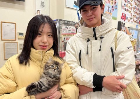 おめでとにゃんにゃん(*´˘`*)♡