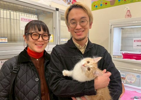 °˖✧congratulation✧˖°