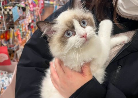 またまた素敵な出会いがありましたヾ(๑╹◡╹)ﾉ