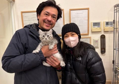 年末もとっても幸せなご報告です♡.*･ﾟ