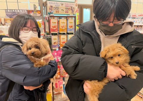 ポテちゃん♡おめでとう♡.*･ﾟ