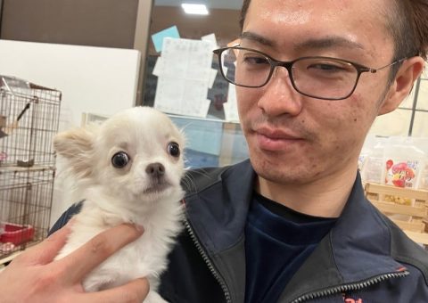 チワワくんおめでとうーっ！！！(*´︶`*)