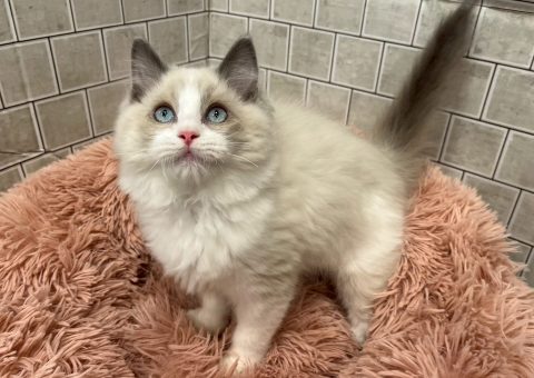 成長しました(*´˘`*)♡