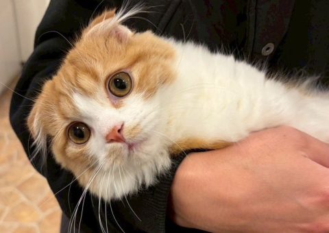 【祝】マロンくん卒業おめでとう☆