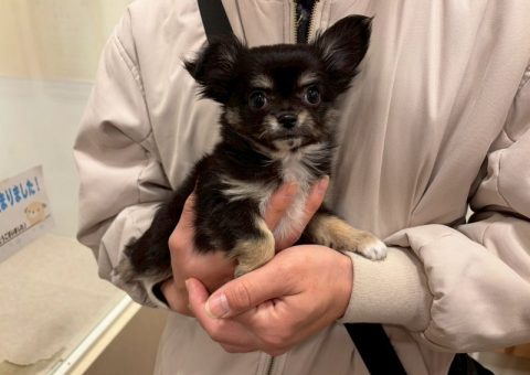 °˖✧congratulation✧˖°