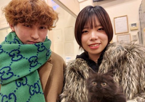 °˖✧congratulation✧˖°