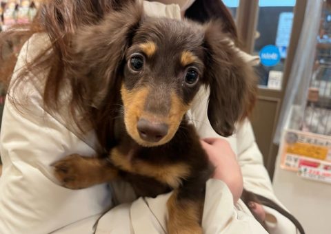 卒業おめでとう(*´˘`*)♡