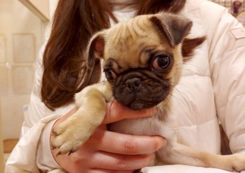 幸せいっぱい♡.*･ﾟ