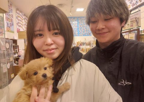 °˖✧congratulation✧˖°